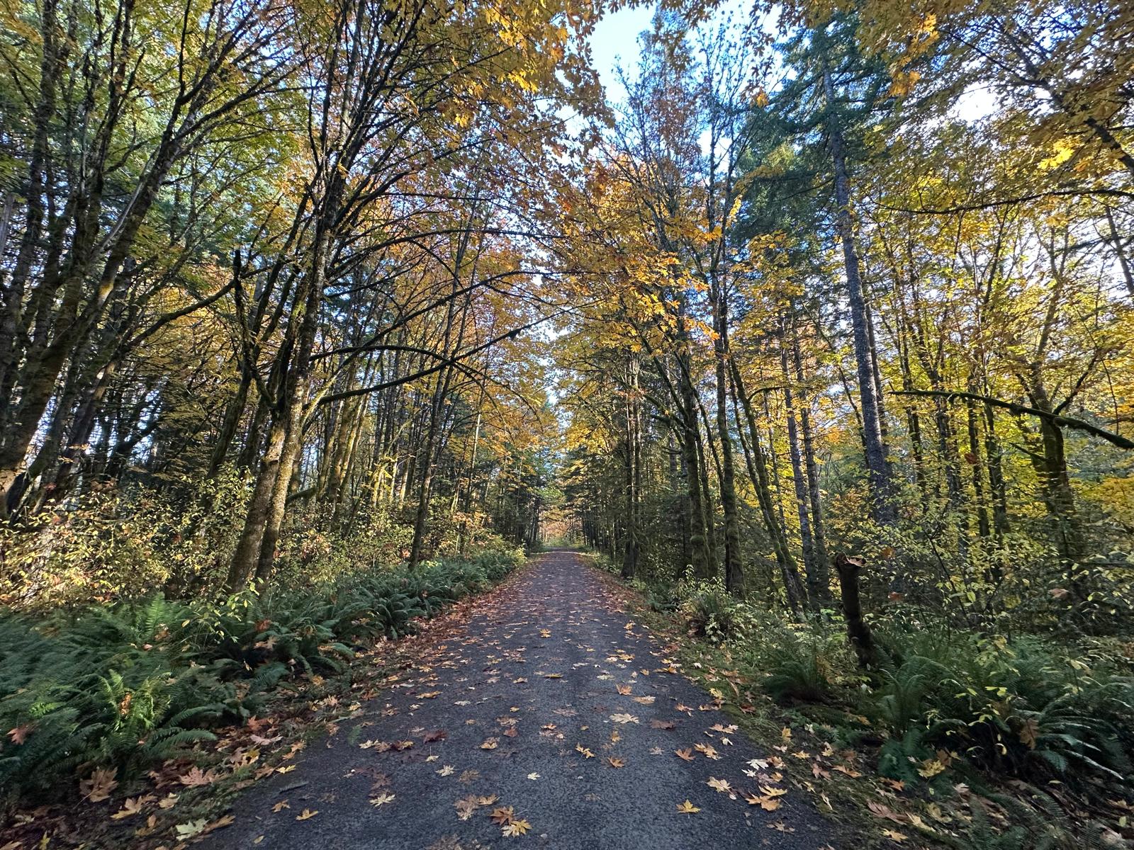 Students outdoors at Warmland Arts Academy on Vancouver Island